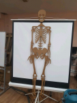 6563931.png