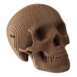 skull_L_B.jpg