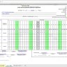 Табель учета рабочего времени по форме 0504421 в Excel - готовая таблица